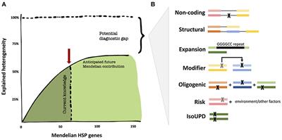 Perspectives on the Genomics of HSP Beyond Mendelian Inheritance